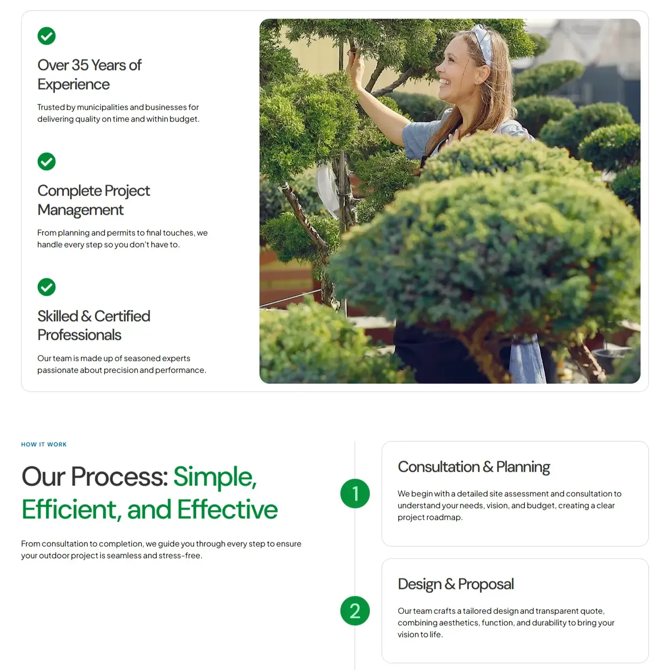 Belamax — WordPress build by Digital TEN X, a new portfolio, figma-first, then built clean