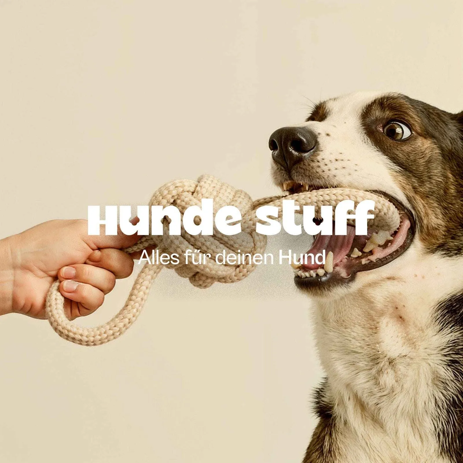 Hunde Stuff Shopify build — screen 3 of 12