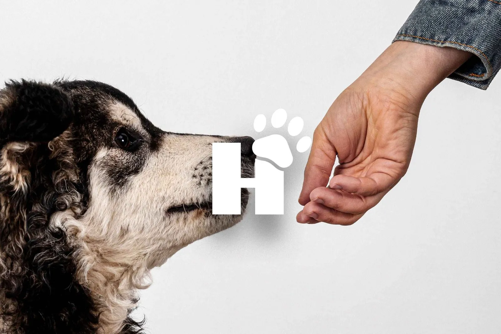 Hunde Stuff Shopify build — screen 8 of 12