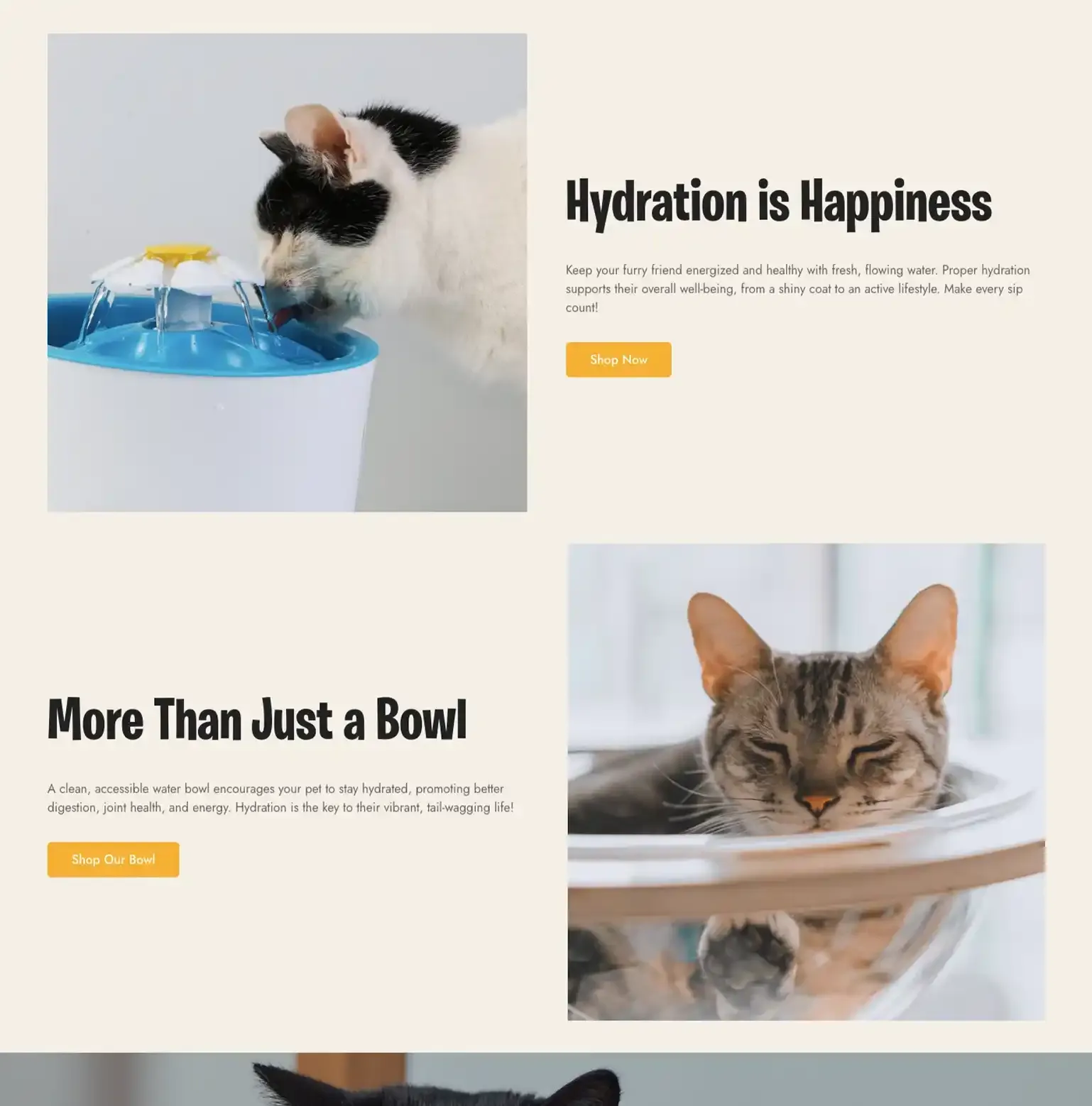 SoignePet Shopify build — screen 1 of 3